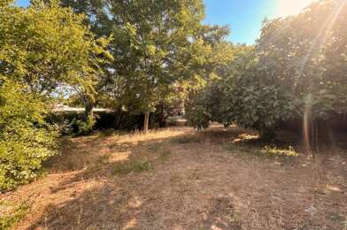 Terrain  320000 €