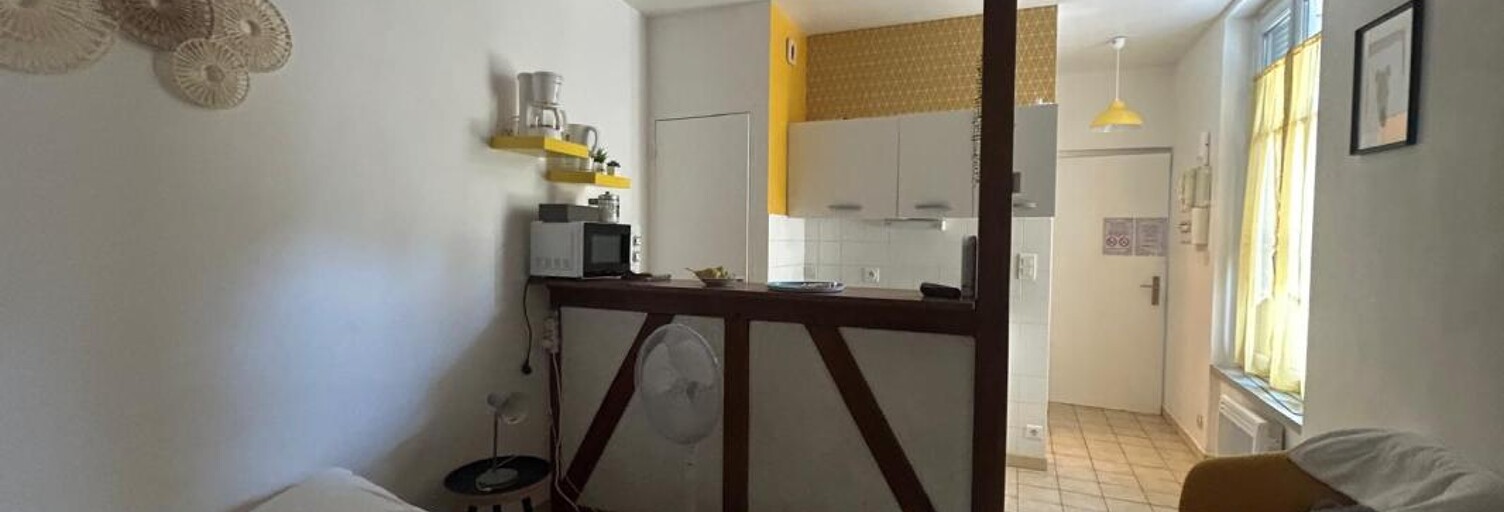 Appartement 1 Pièce 18 m² à louer à Blois (41000)