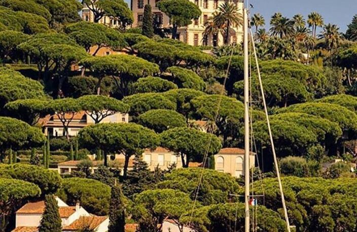 Appartement d'Exception  Château Borelli, Parc de Saint-Tropez — photo 2