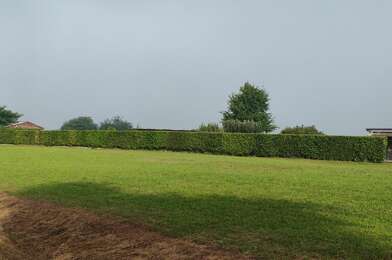 Terrain  49000 €