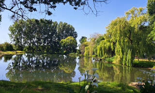 Photo N° 2