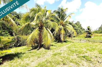 PAISIBLE MAISON F3 SUR 2040m² DE TERRAIN — photo du bien