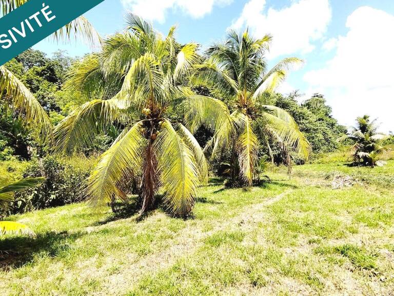 PAISIBLE MAISON F3 SUR 2040m² DE TERRAIN — photo 1