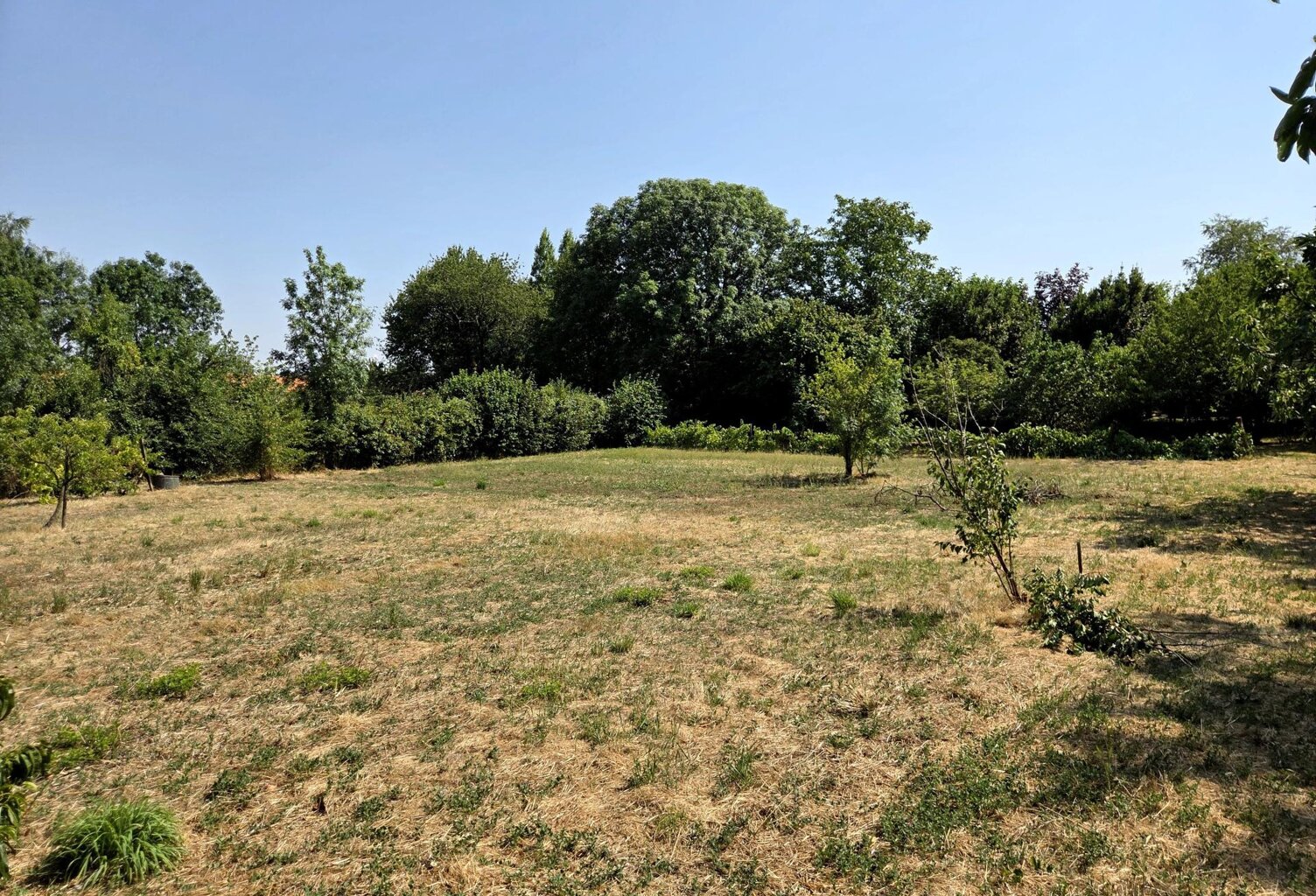 Terrain constructible plat, avec verger! — photo 1