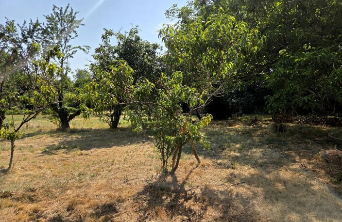 Terrain constructible plat, avec verger! — photo 4