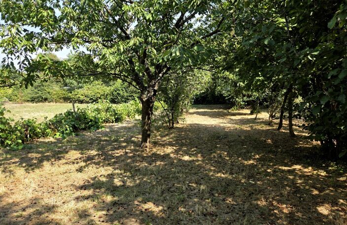 Terrain constructible plat, avec verger! — photo 5
