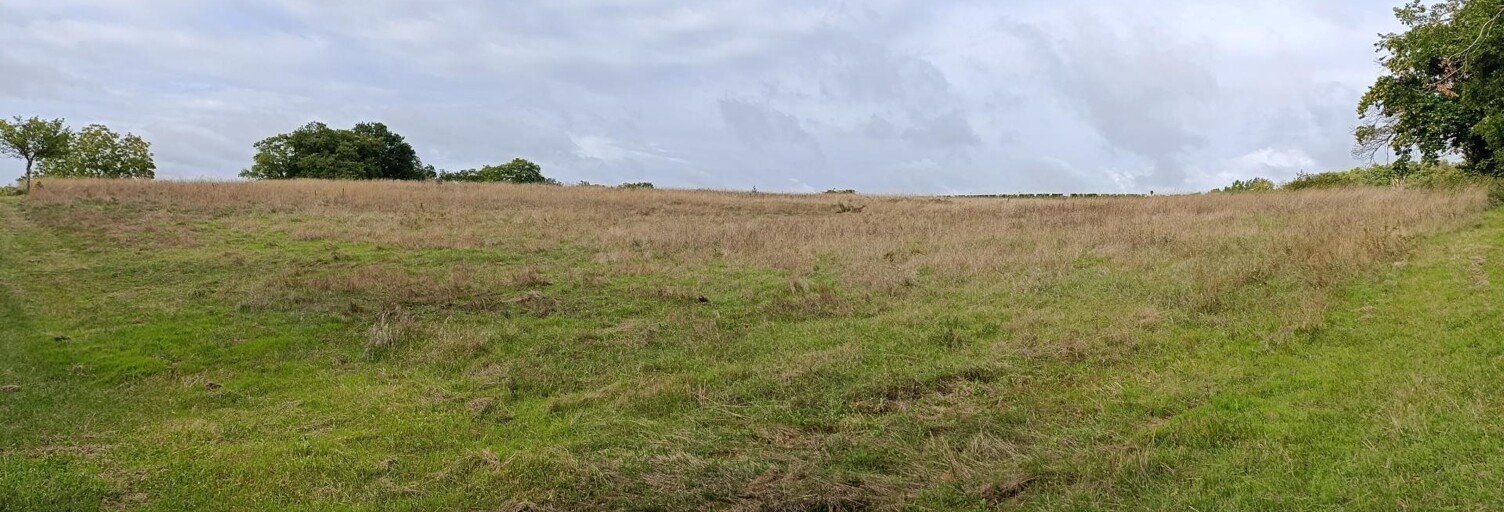 Terrain  17458 m² à vendre à Chinon (37500)