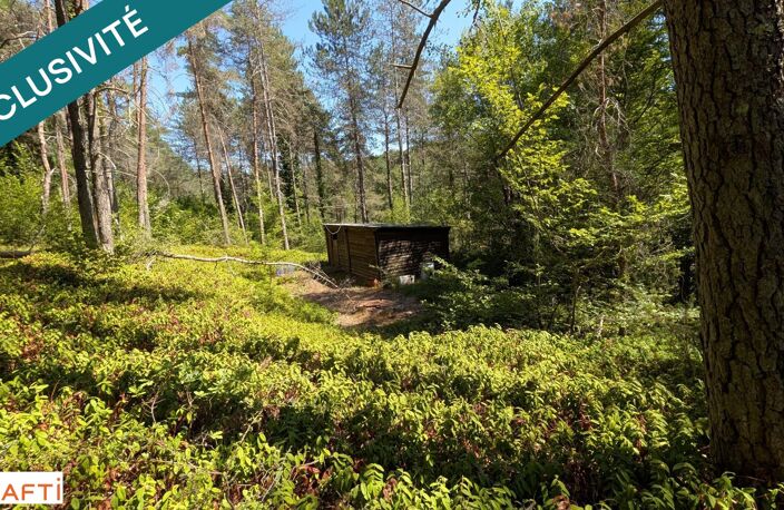 Dans un endroit bucolique terrain de loisir — photo 5