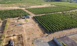 Maison 4 Pièces 86 m² à vendre à Bellevigne-en-Layon (49750)