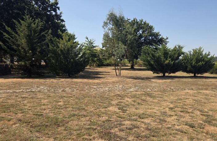 Terrain — photo 3