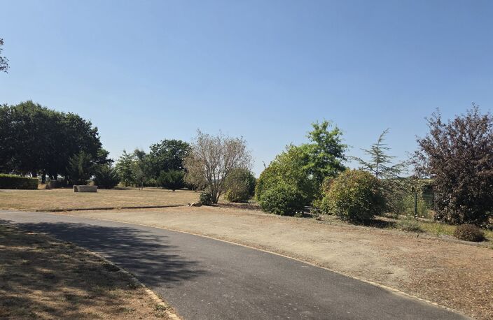 Terrain — photo 5