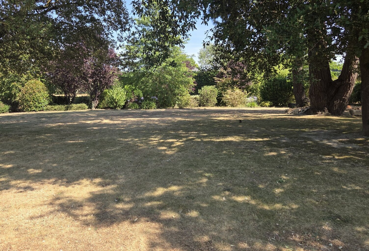 Terrain — photo 1