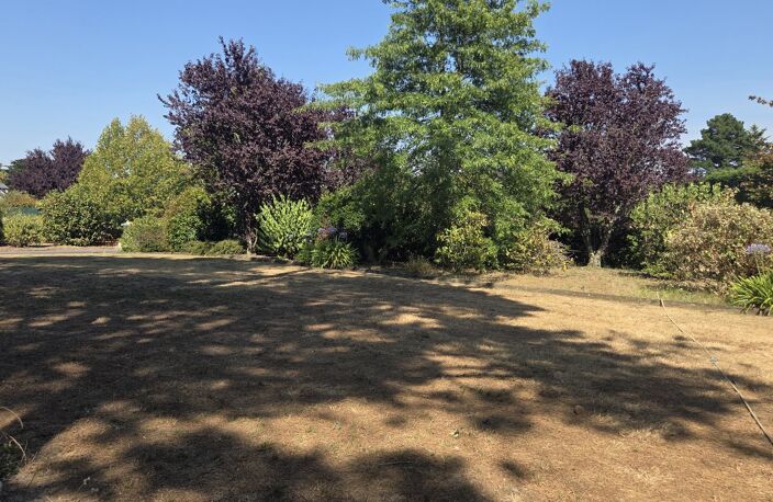 Terrain — photo 2
