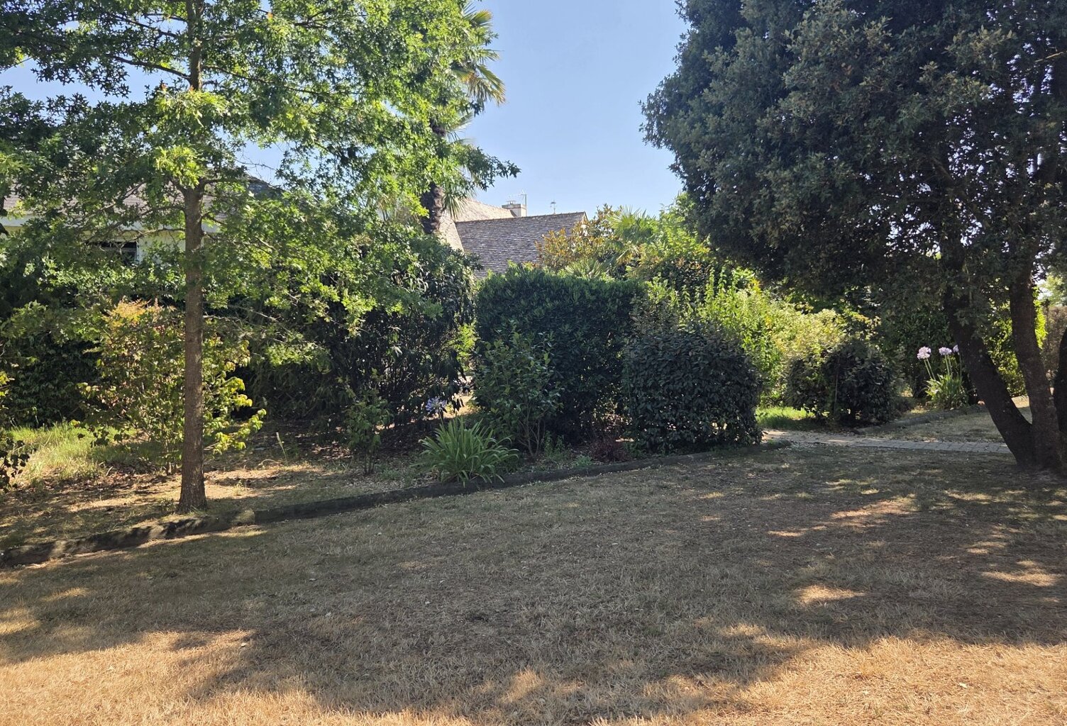 Terrain — photo 1