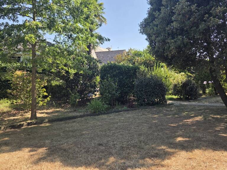 Terrain — photo 1