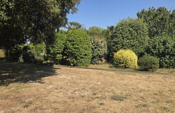 Terrain — photo 2