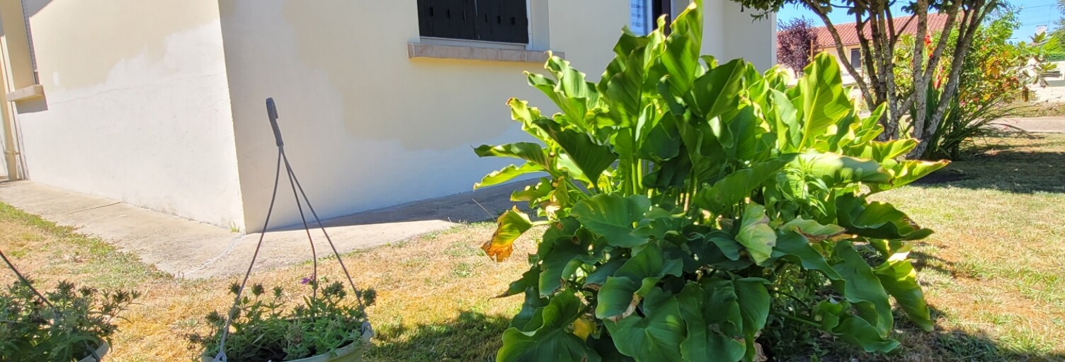 Photo N° 2