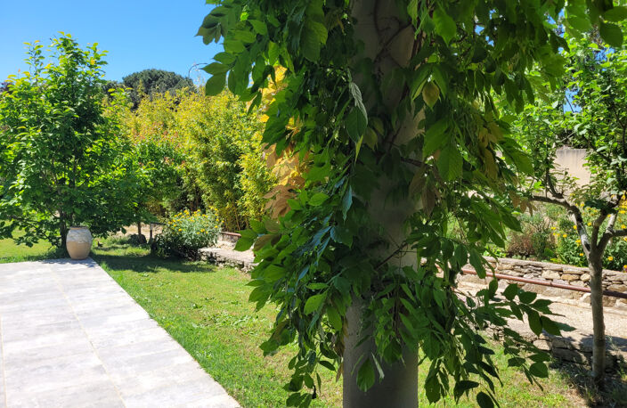 Villa récente en peine nature — photo 5