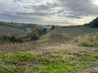 BASTIDE ET DÉPENDANCES SUR 11 HECTARES — photo 2