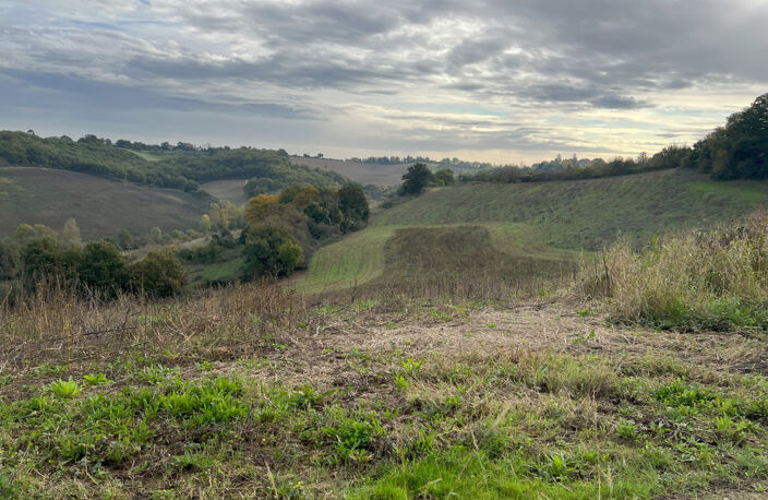 BASTIDE ET DÉPENDANCES SUR 11 HECTARES — photo 2