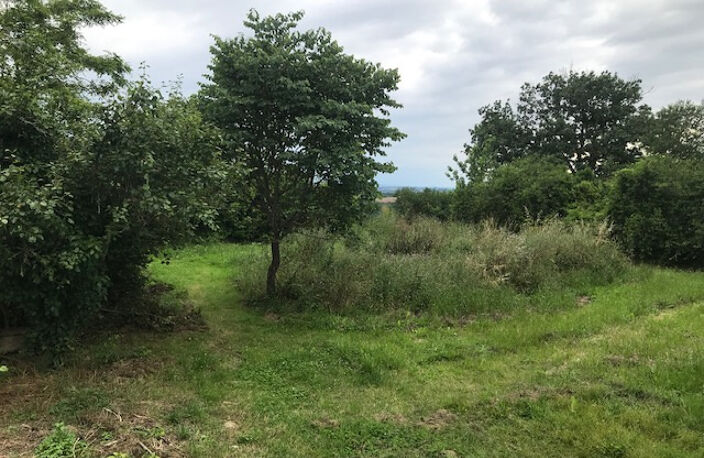 BASTIDE ET DÉPENDANCES SUR 11 HECTARES — photo 5