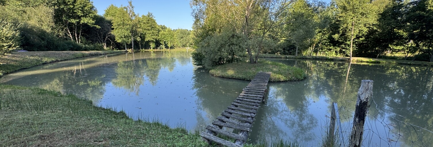 Terrain  16365 m² à vendre à Tresson (72440)