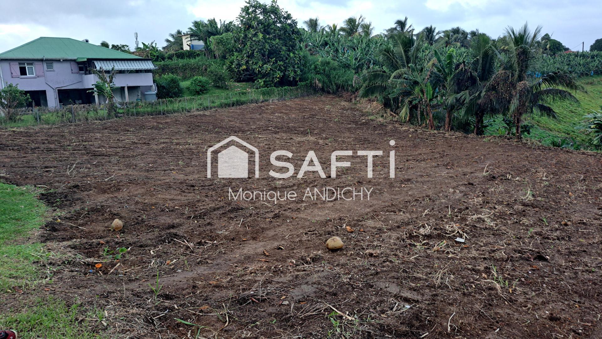 Agence immobilière de SAFTI