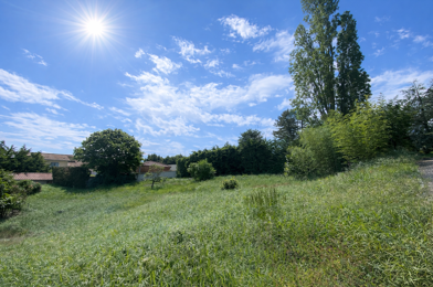 Terrain  300000 €