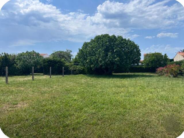 Terrain à bâtir - La brée les bains — photo du bien