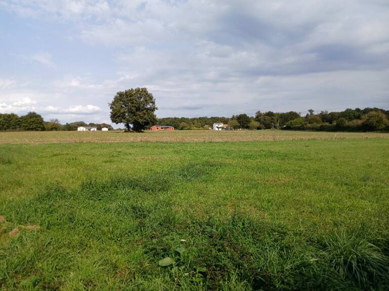 Terrain à bâtir à Tocane-Saint-Apre (24350) — photo 1