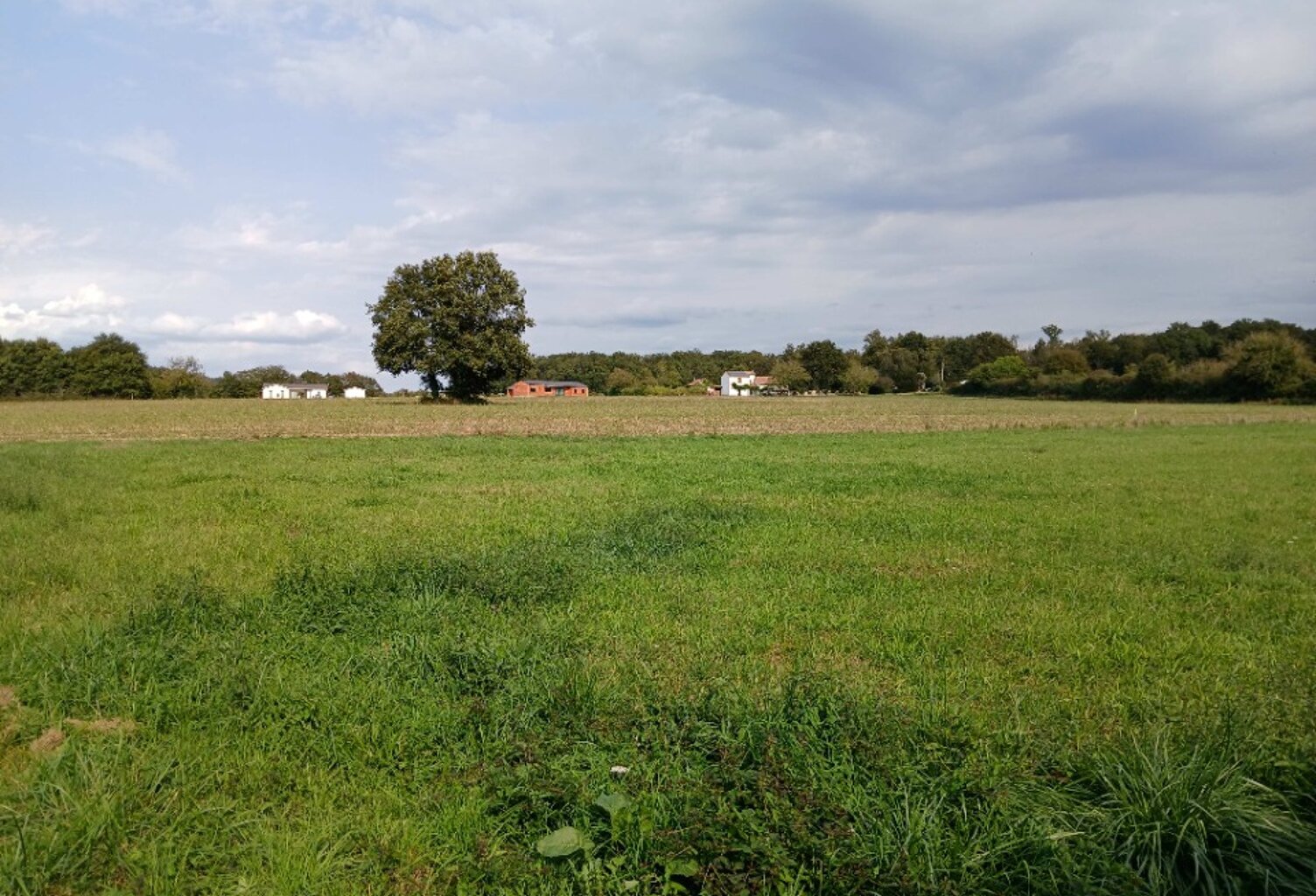 Terrain à bâtir à Tocane-Saint-Apre (24350) — photo 1