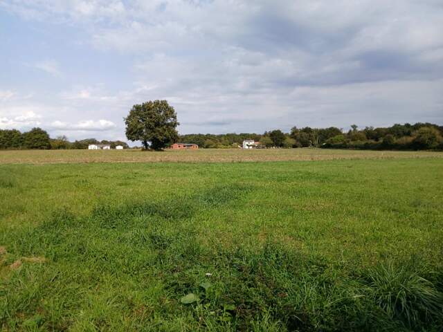 Terrain à bâtir à Tocane-Saint-Apre (24350) — photo du bien