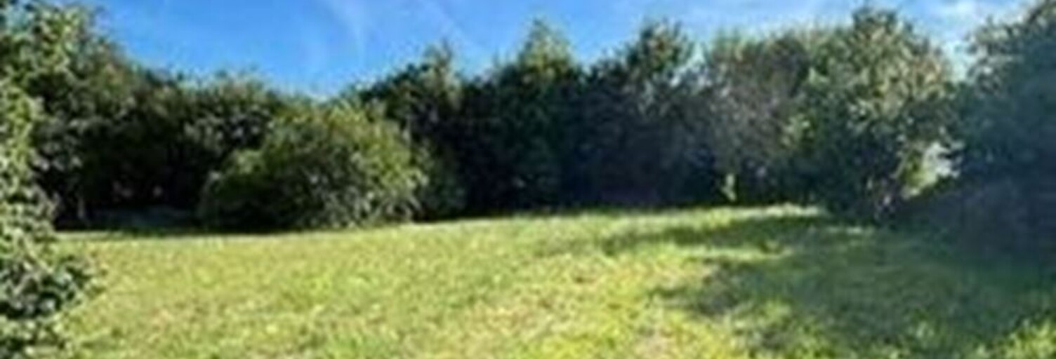 Terrain  808 m² à vendre à Plouzané (29280)