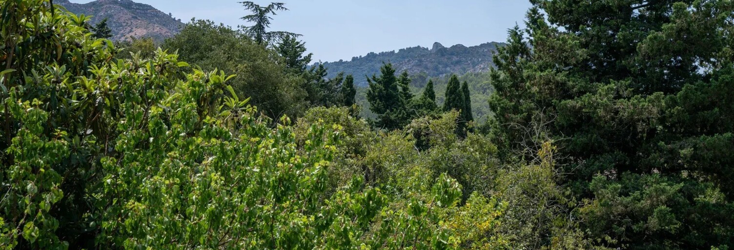 Maison 7 Pièces 165 m² à vendre à Saint-Rémy-de-Provence (13210)