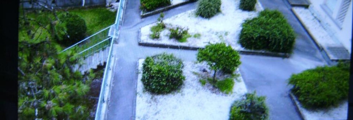 Photo N° 2