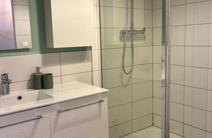 Appartement de 55m2 à louer sur Saint-Étienne — photo 2