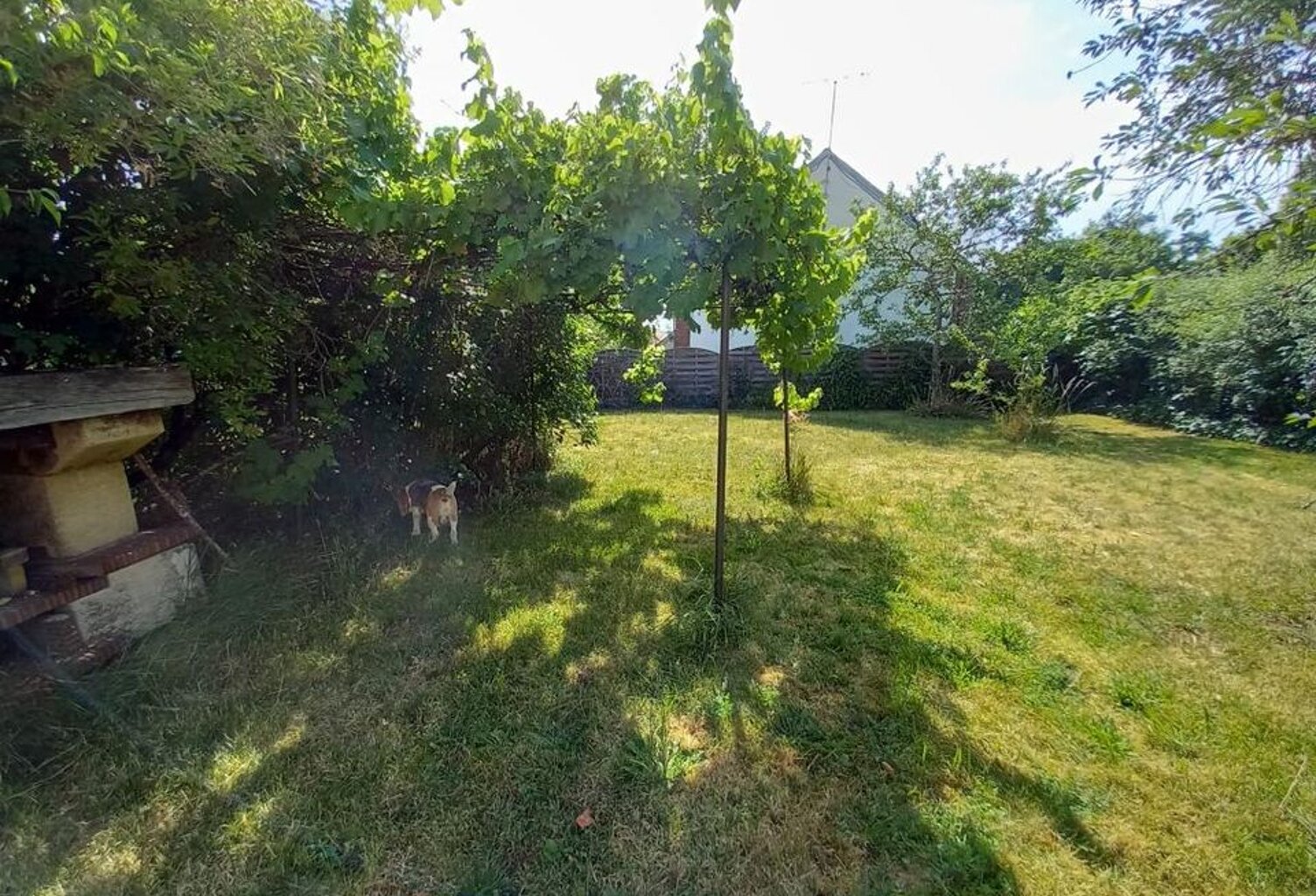 Chambre de 21m2 à louer sur La Chapelle-Saint-Sépulcre — photo 1