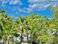 A VENDRE - CHARMANT STUDIO RENOVE AU COEUR D'UN CADRE TROPICAL RECHERCHE - SAINTE ANNE — photo 4
