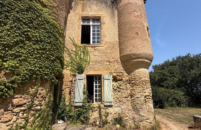 MARCIAC(32): ancienne SEIGNEURIE avec BEAU CHATEAU XIV sur 3,5ha, cachée, au bout du chemin, sans voisin, en campagne, 500m2 habitables, piscine chauffée, découvrez les riches heures des seigneurs — photo 5