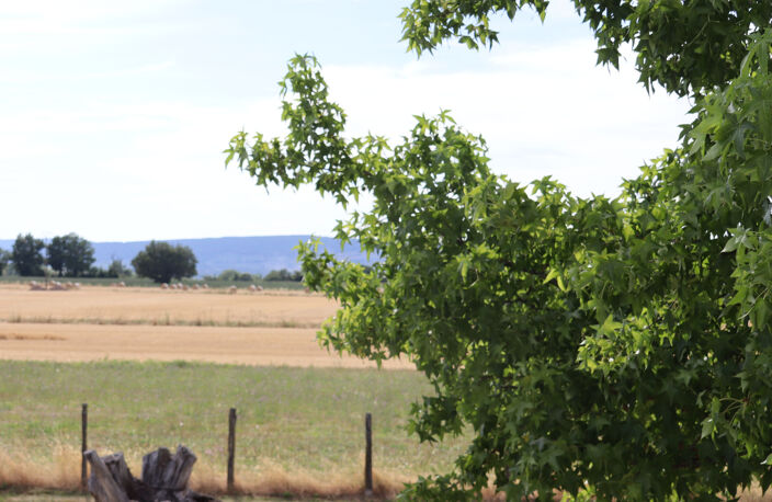 SAINT-BÉNIGNE – Villa d'exception avec piscine, vue sur les Monts du Mâconnais et terrain de 4 608 m² — photo 3