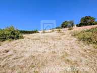 Terrain  1271 m2 — photo 2
