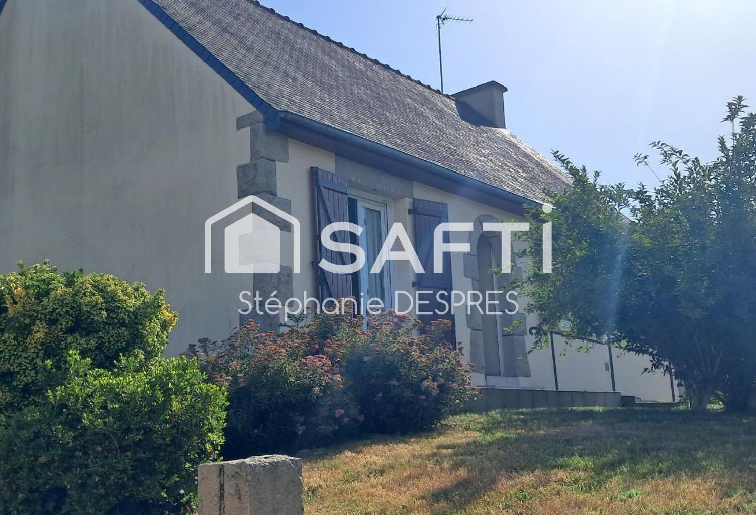NOUVEAUTE ! — photo 1