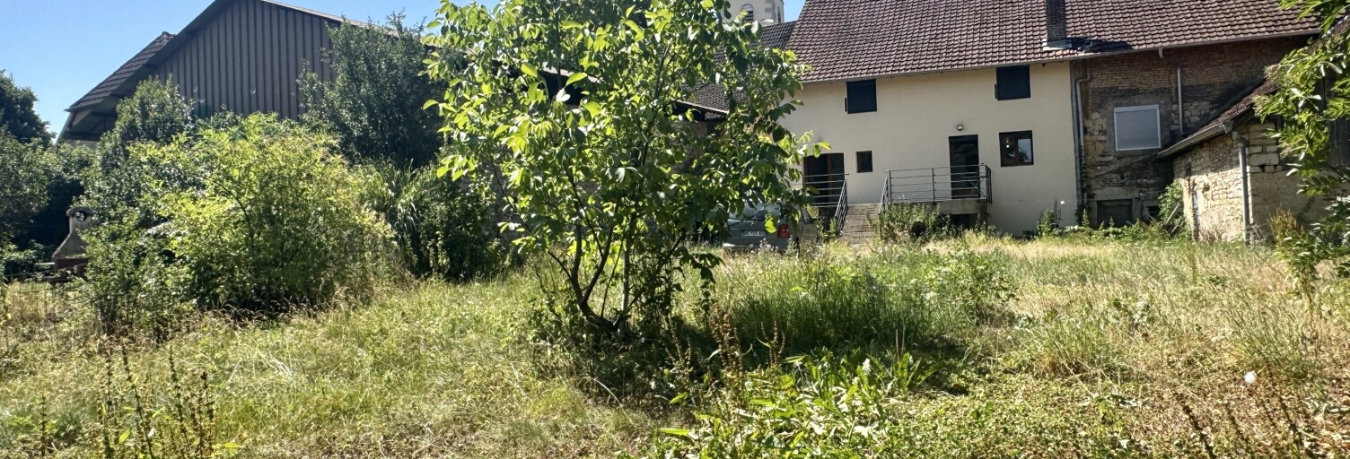 Photo N° 2