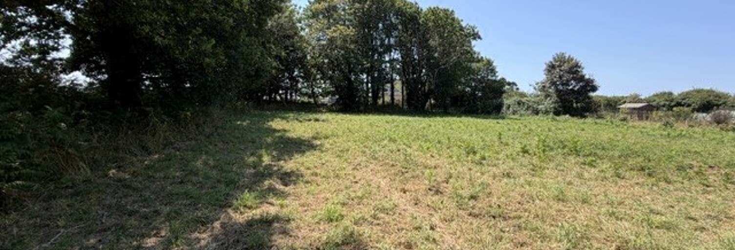 Terrain  2919 m² à vendre à Plouhinec (29780)