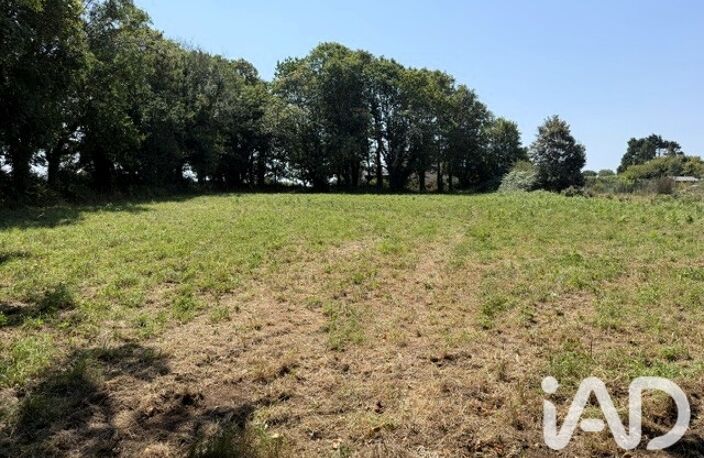 Vente Terrain à bâtir 2 919 m&sup2; — photo 2