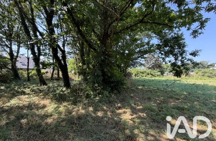 Vente Terrain à bâtir 2 919 m&sup2; — photo 5