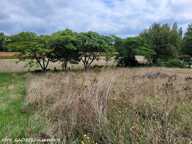 LINARS (16730) : Terrain constructible de 830m2 — photo 3