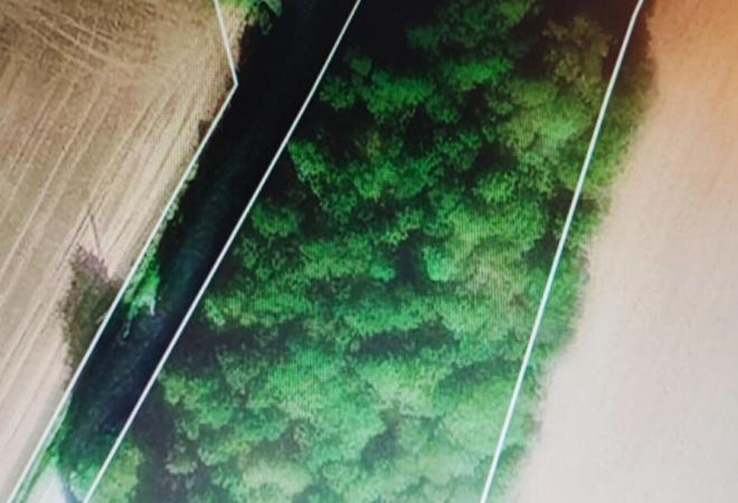 Domaine forestier Saint Vran — photo 1