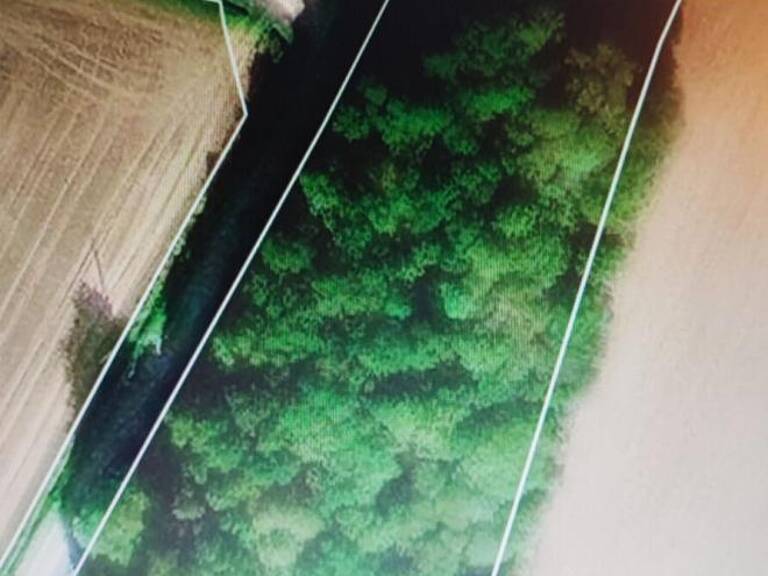 Domaine forestier Saint Vran — photo 1