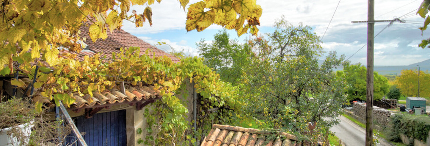 Photo N° 2